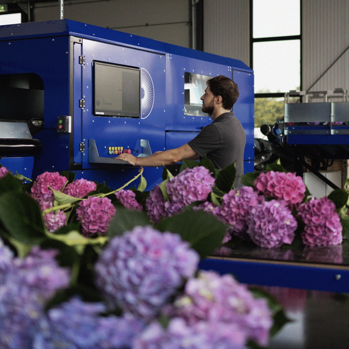 Man bedient machine in bloemkwekerij