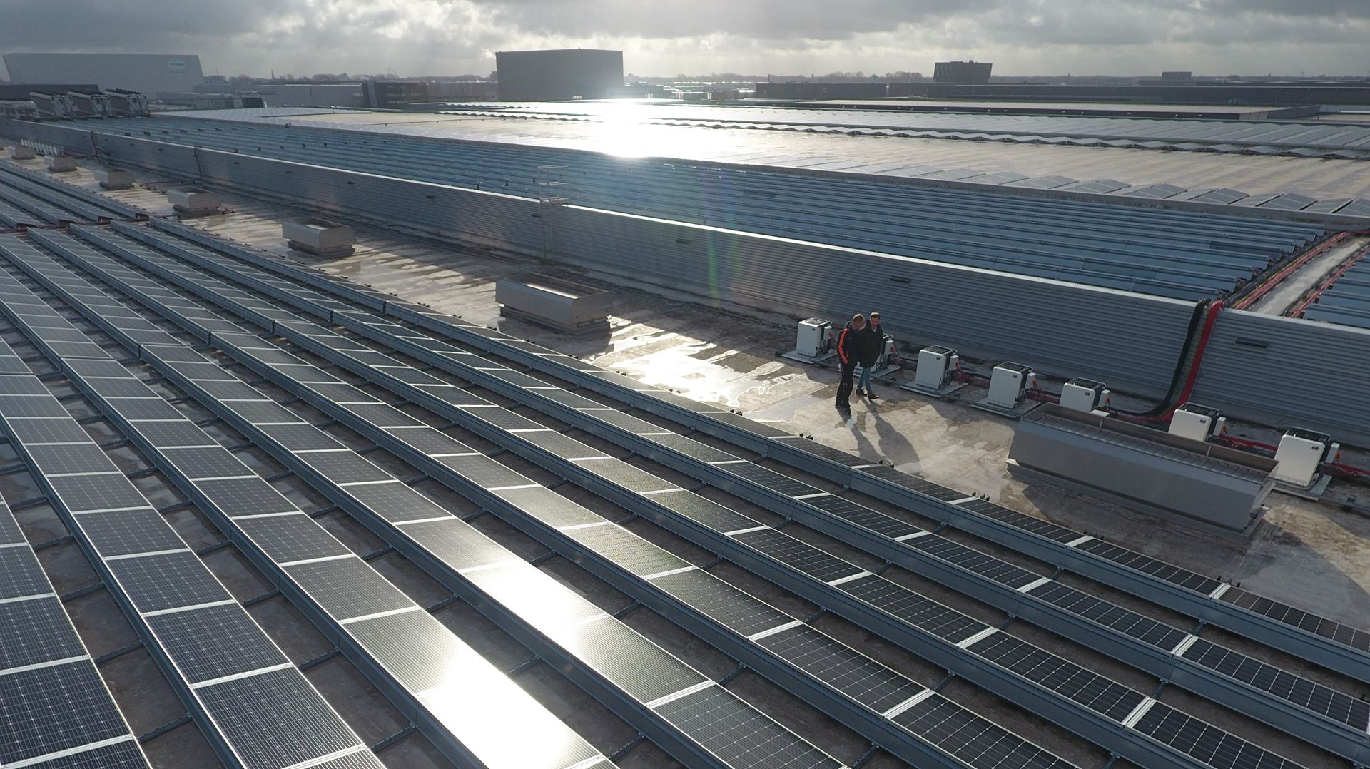 Rijen met zonnepanelen op de fabriek van Naber Plastics