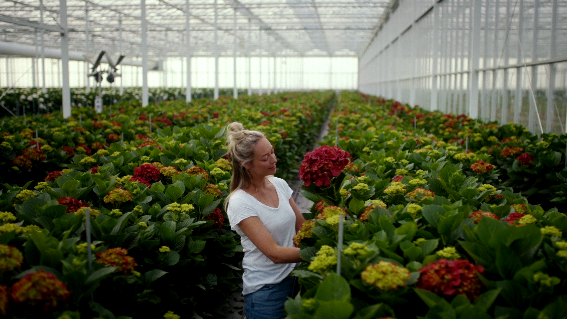 Vrouw in kas met bloemen